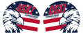 USA1 2026 - TEAMGOLDUSA EAGLE: Team Training Cap (1 Silicone Cap)